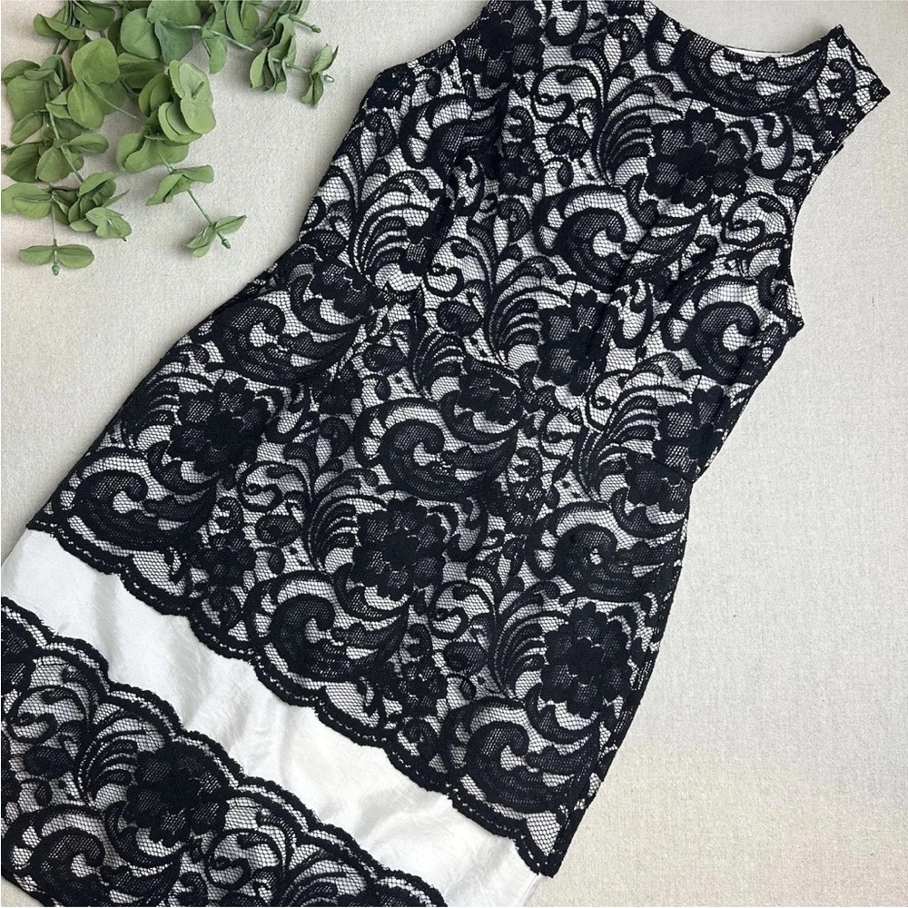 The Limited Lace Sheath Dress Black White Formal Wedding Event Size 10 NWT $108 - Picture 16 of 16